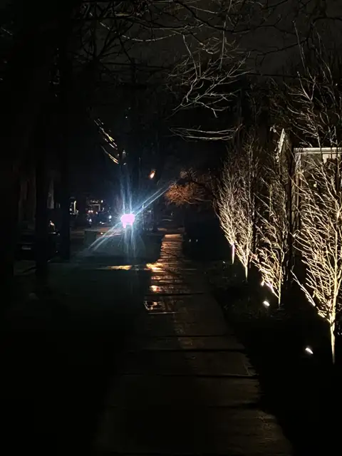 Nightfall's quiet glow on a wet, illuminated path.